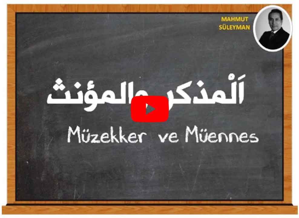 Arapça Müzekker müennes sayılar örnek Cümleler